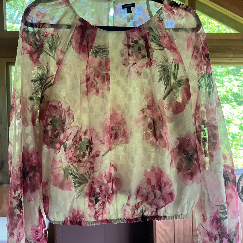 Express Sheer Floral Blouse in Pink and Green